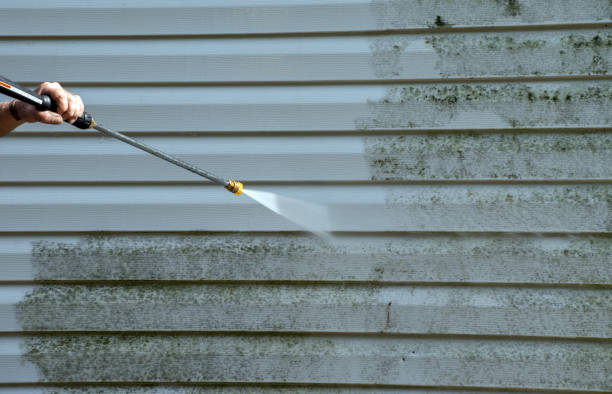 Mold Removal Process in Athens, GA